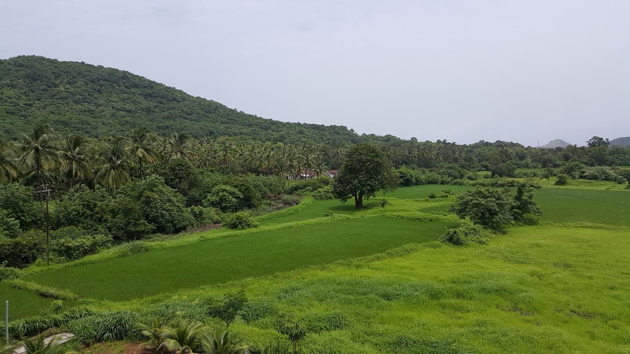 Anand Agro Tourism Kashid Hotel Alībāg Exterior photo